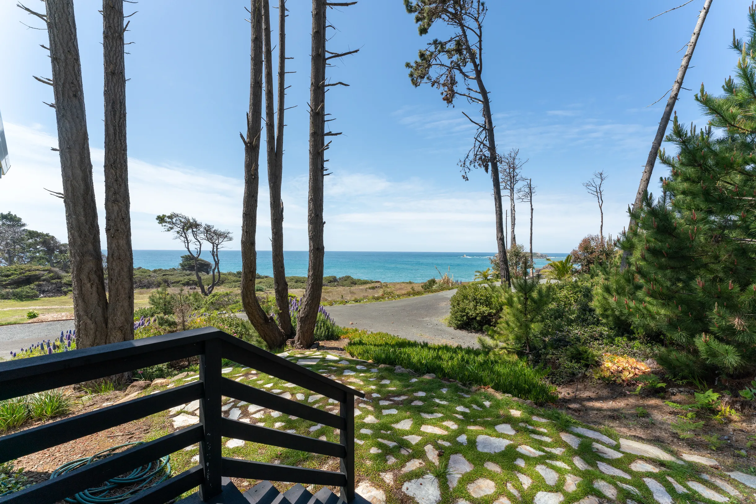 Wander Anchor Bay #51