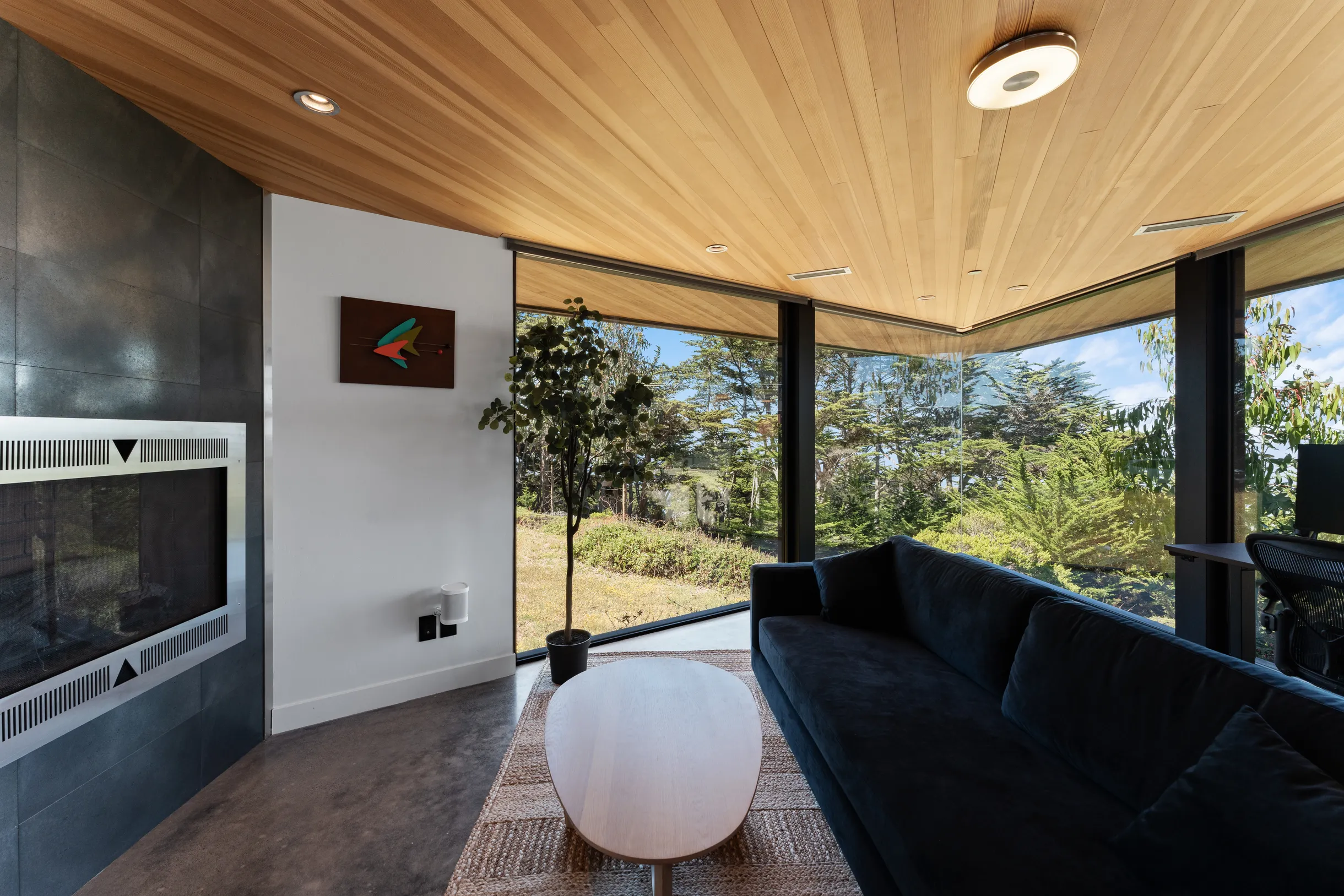 Wander Big Sur Coast #5