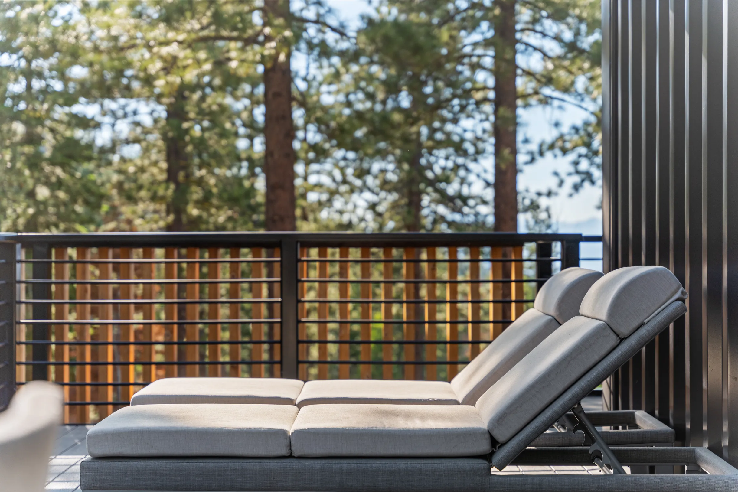 Wander Tahoe Slopes #61