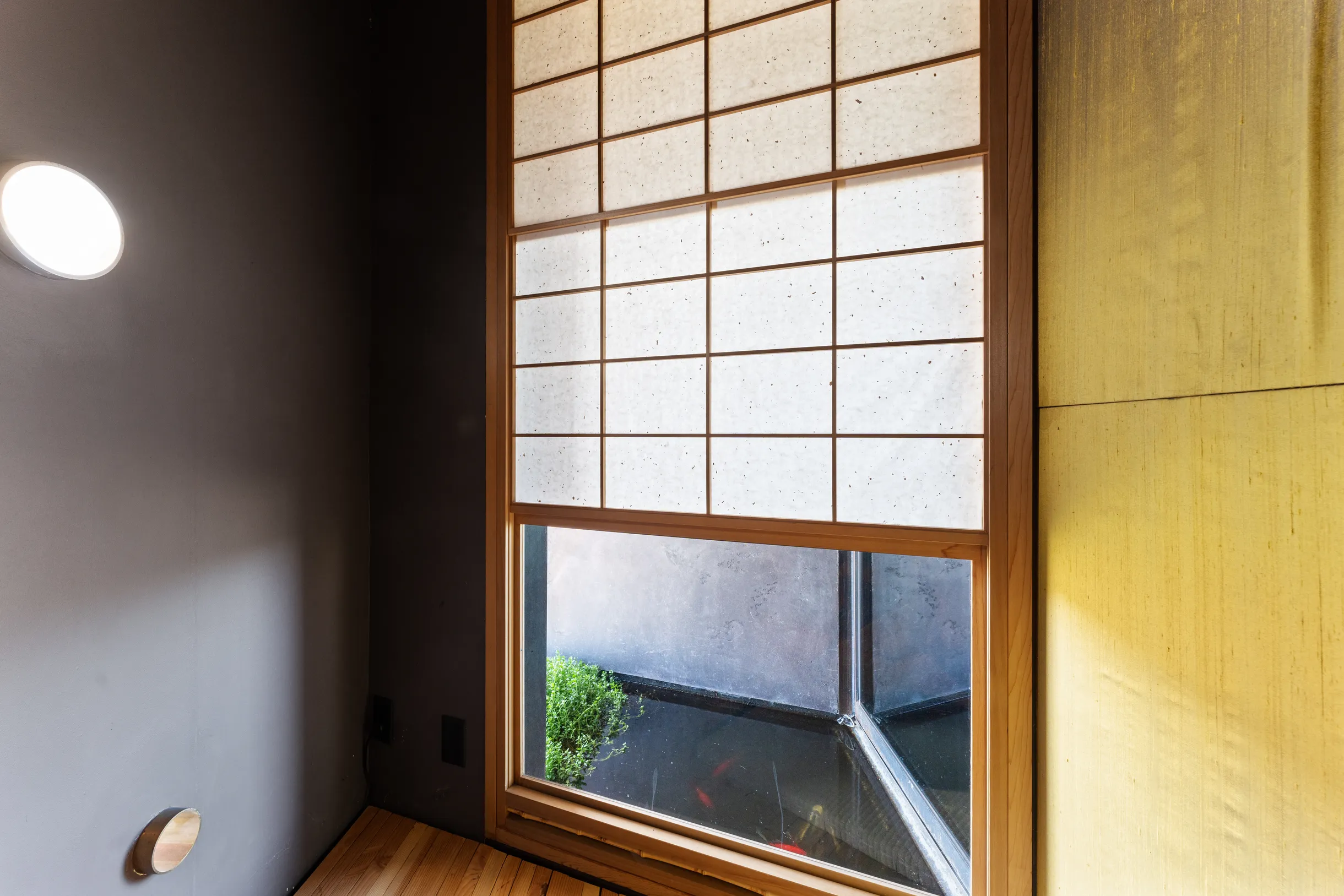 Wander Cave Creek #22