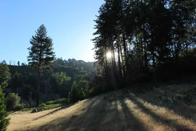 Palomar Mountain State Park