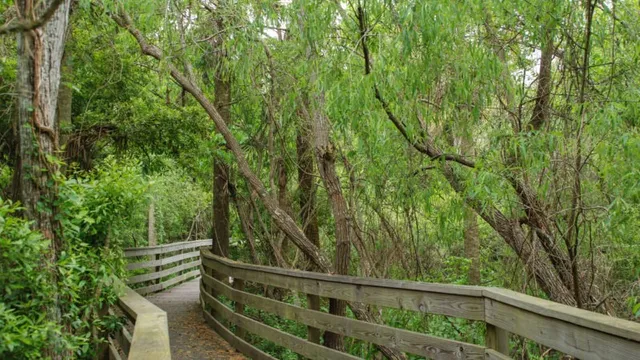 Scipio Creek Boardwalk