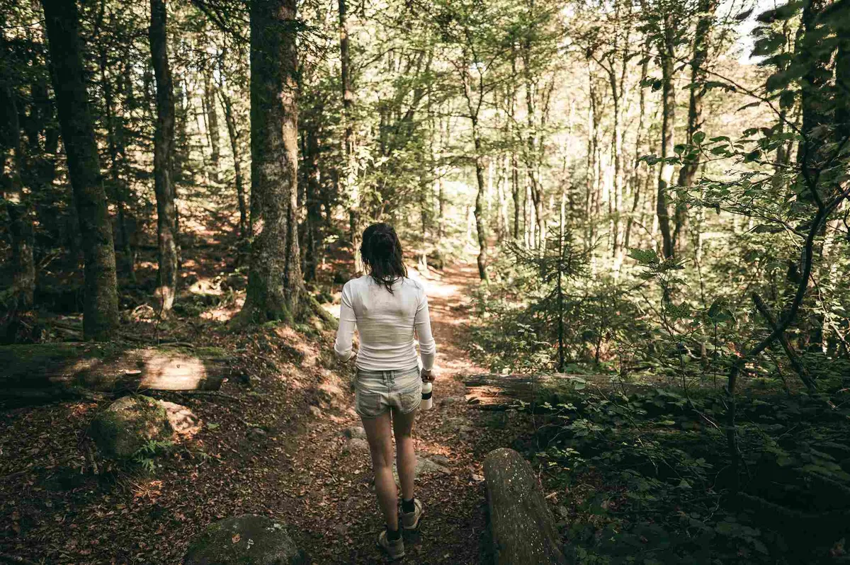 3 Best Hiking Trails Near Wander Palomar Mountain