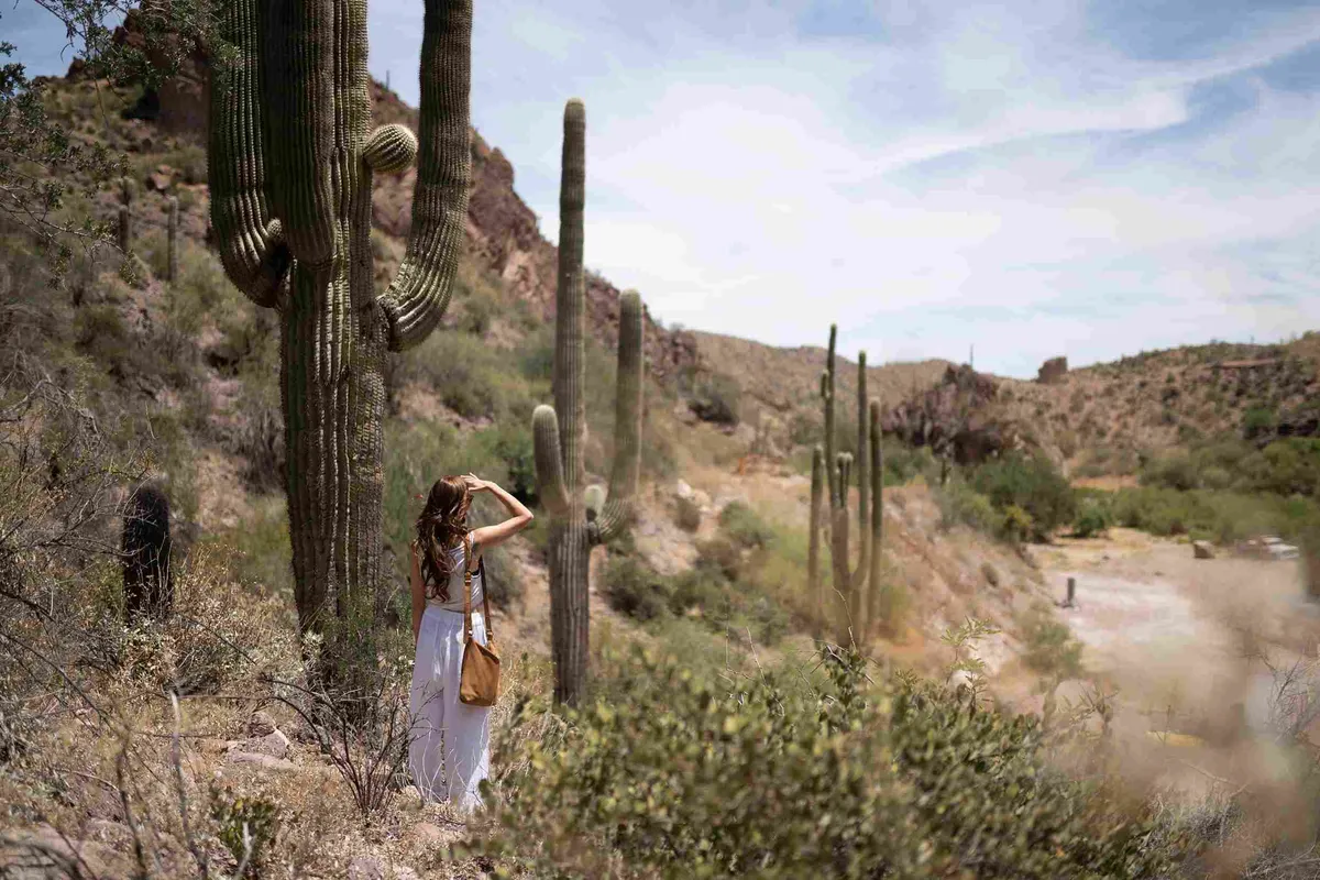 Best Hiking and Walking Trails in Cave Creek, Arizona