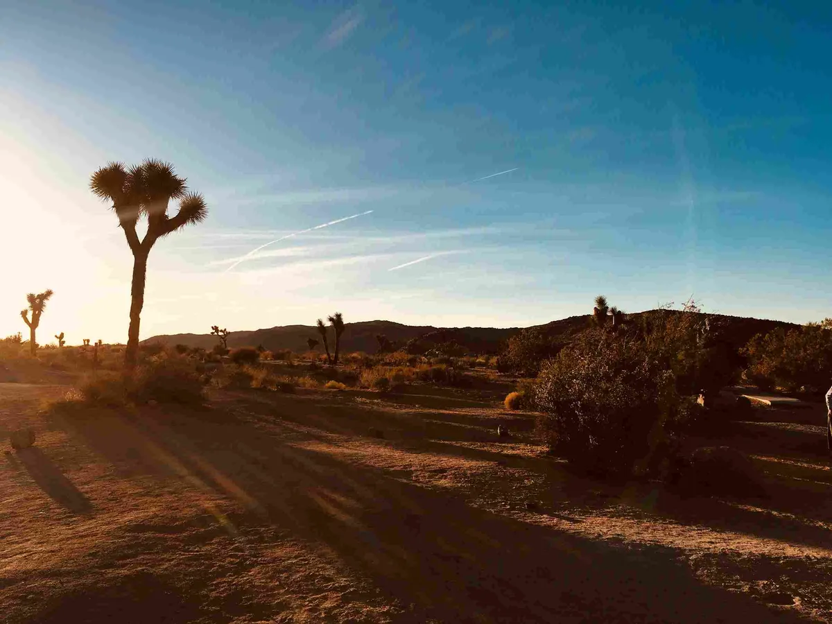 Joshua Tree: Walking and Hiking Trails