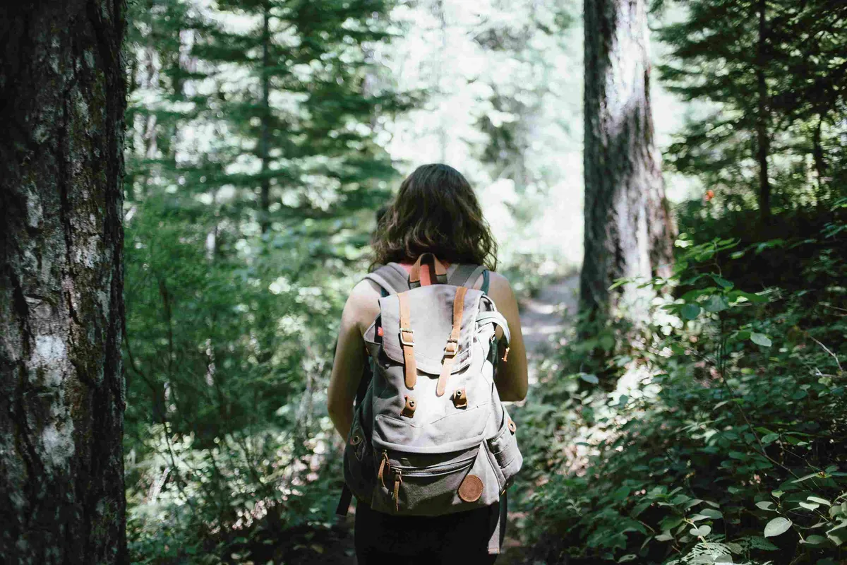5 Activities Near Wander Hudson Woods to Keep You Active
