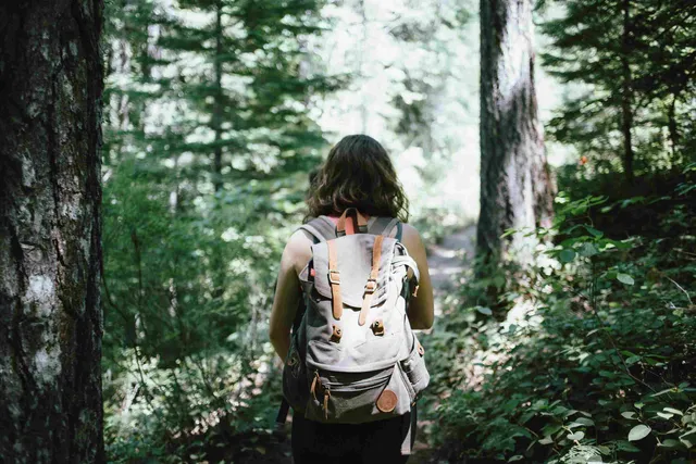5 Activities Near Wander Hudson Woods to Keep You Active