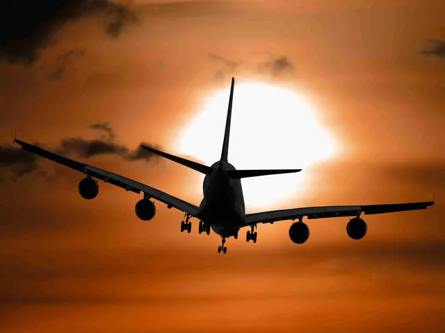 Transportation Guide: Wander Surfside Beach