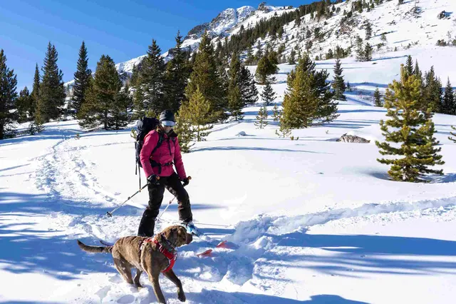 7 Must-Try Winter Activities in Vail, Colorado