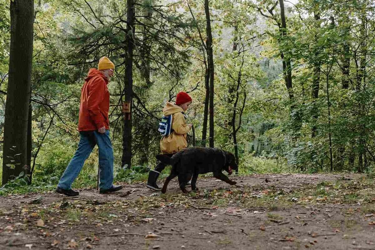 Best Hiking and Walking Trails in Port Orford, Oregon