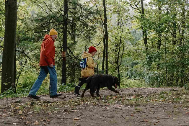 Best Hiking and Walking Trails in Port Orford, Oregon