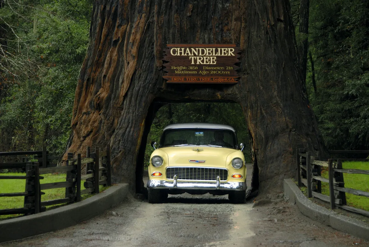 Road Trip Plan: San Francisco to Bandon, Oregon 