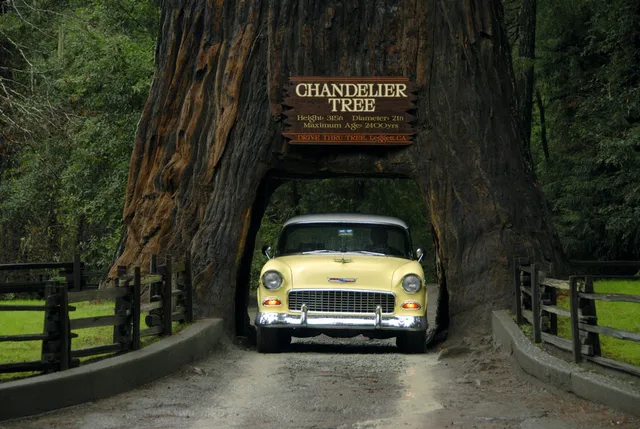 Road Trip Plan: San Francisco to Bandon, Oregon