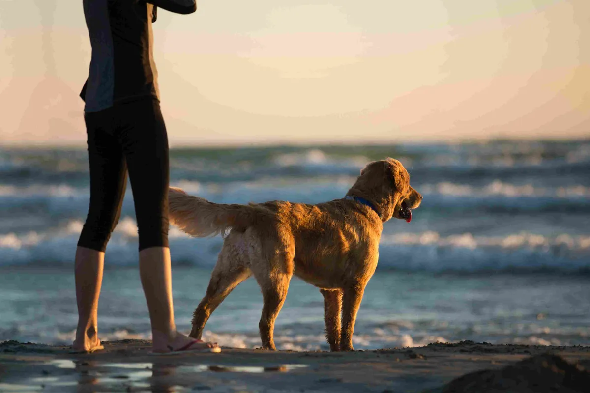 Pet-Friendly Activities + Services: Wander Bandon Beach