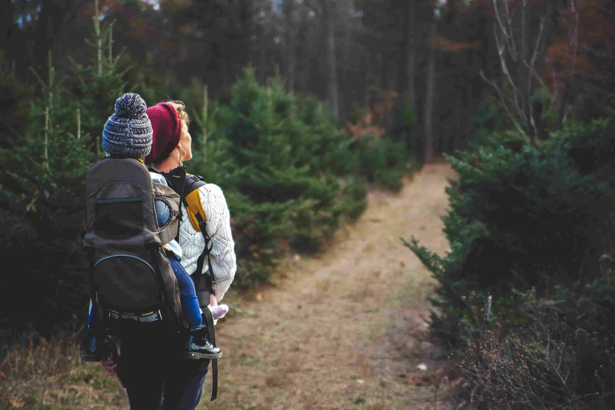 Best Hiking and Walking Trails in Lake Tahoe, California 