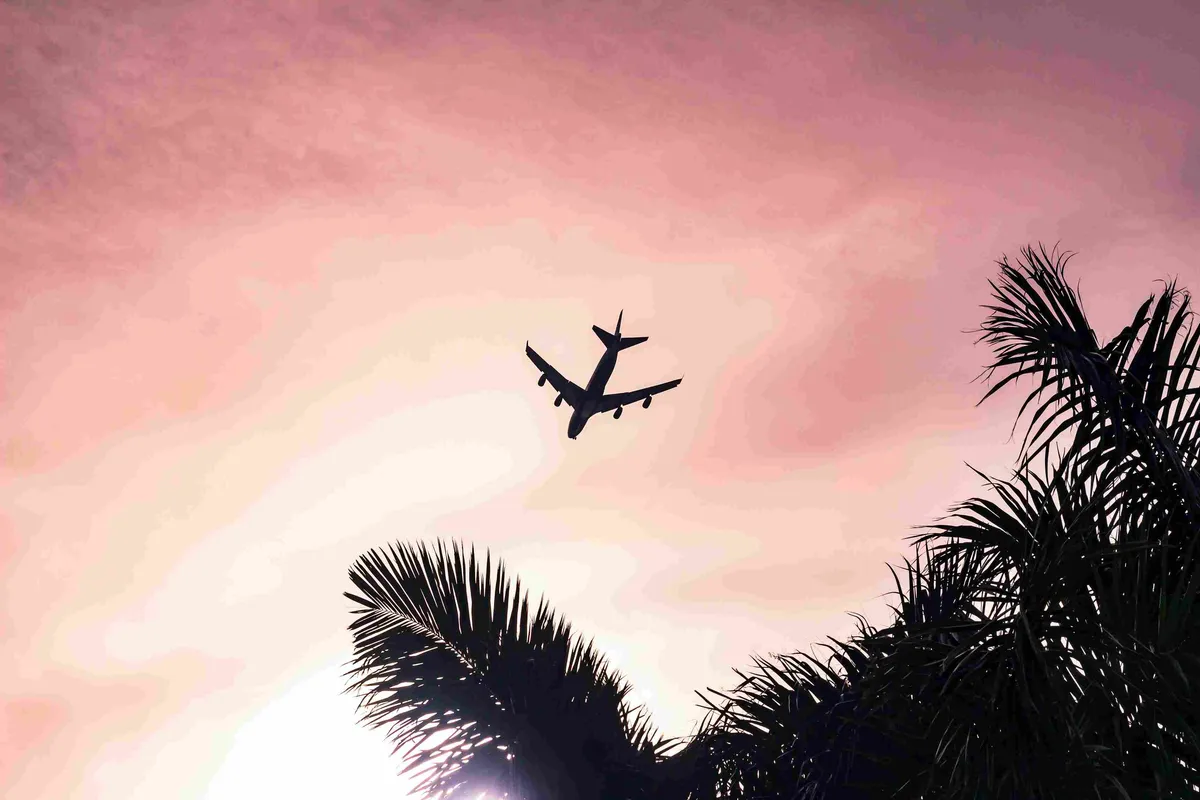 Transportation Guide: Wander Ponte Vedra