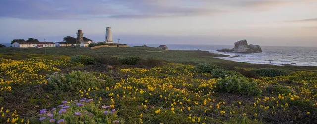 Piedras Blancas Light Station 