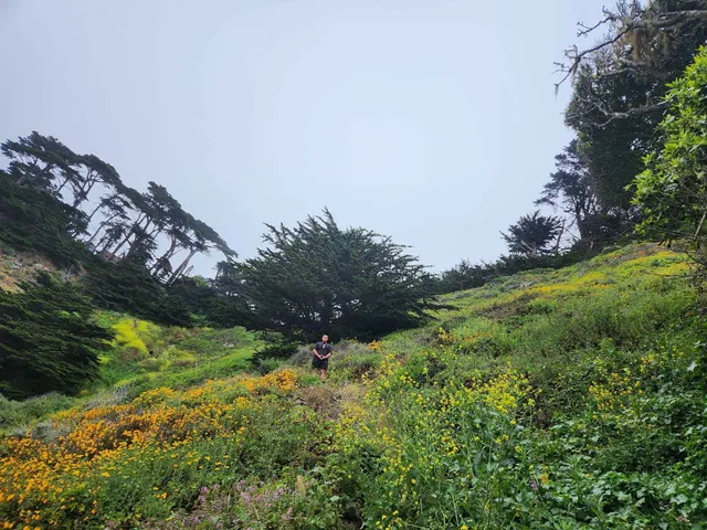 Salmon Creek Falls Trail