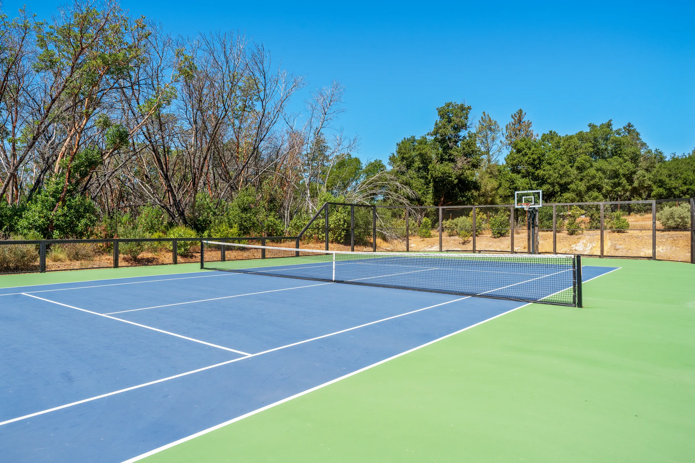 Wander Calistoga Valley #18