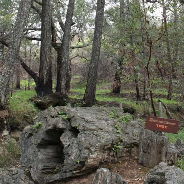 The Petrified Forest