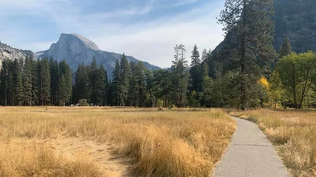 Sentinel & Cook's Meadow Loop