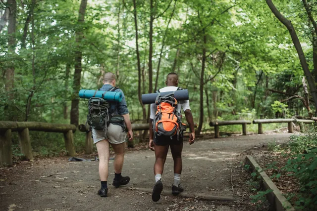 3 Best Hiking and Nature Trails Near Wander Stowe Woods