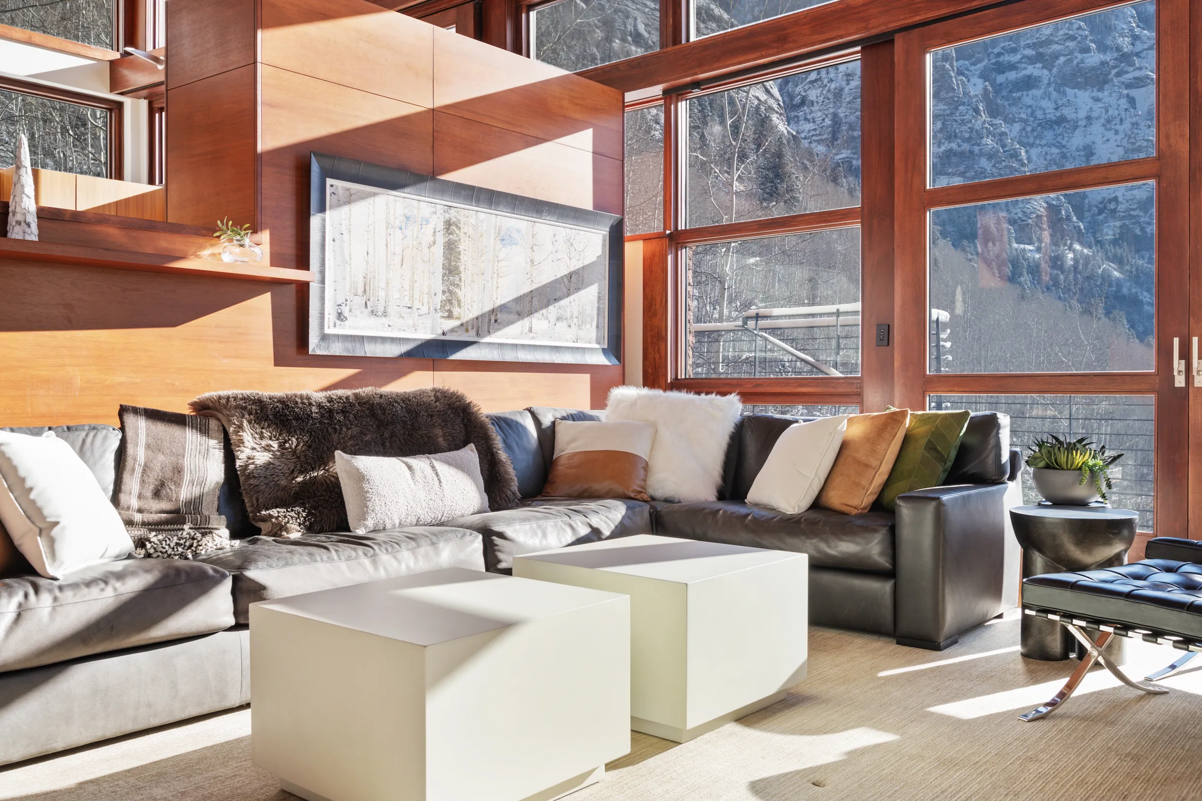 Wander Telluride Falls #85