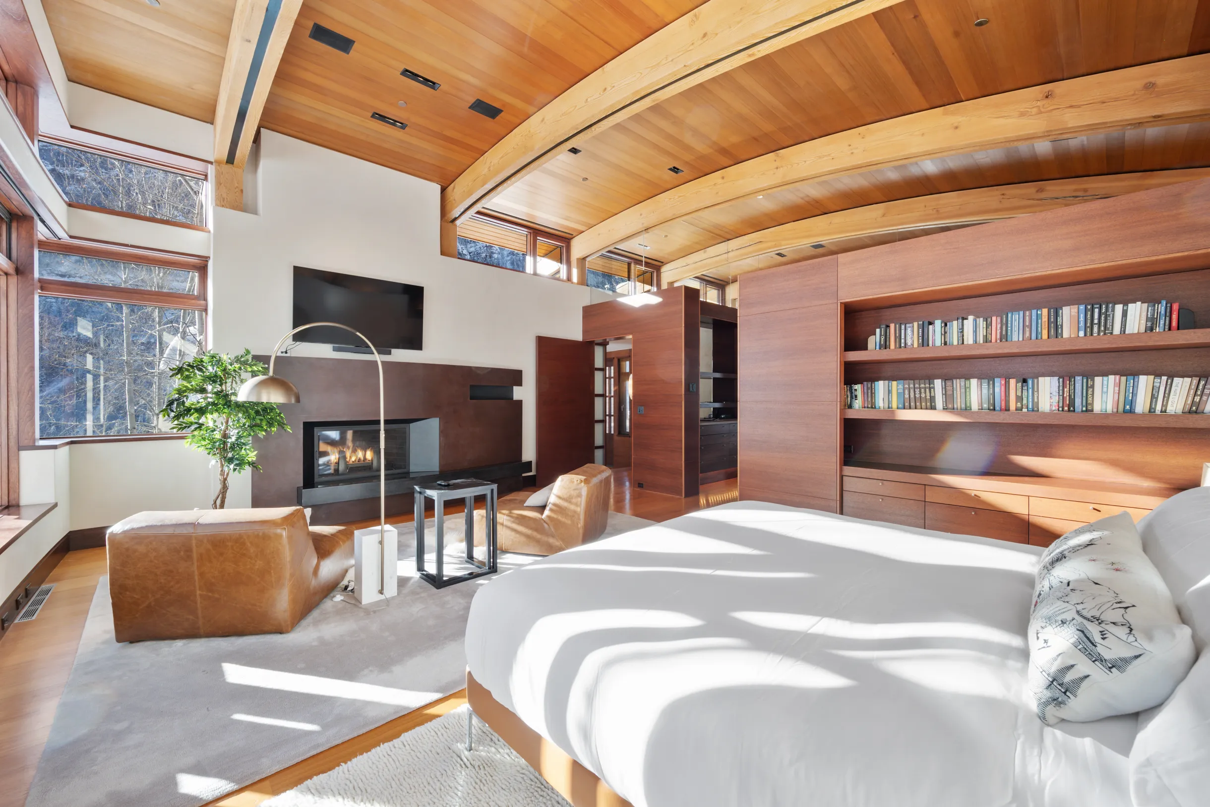 Wander Telluride Falls #9