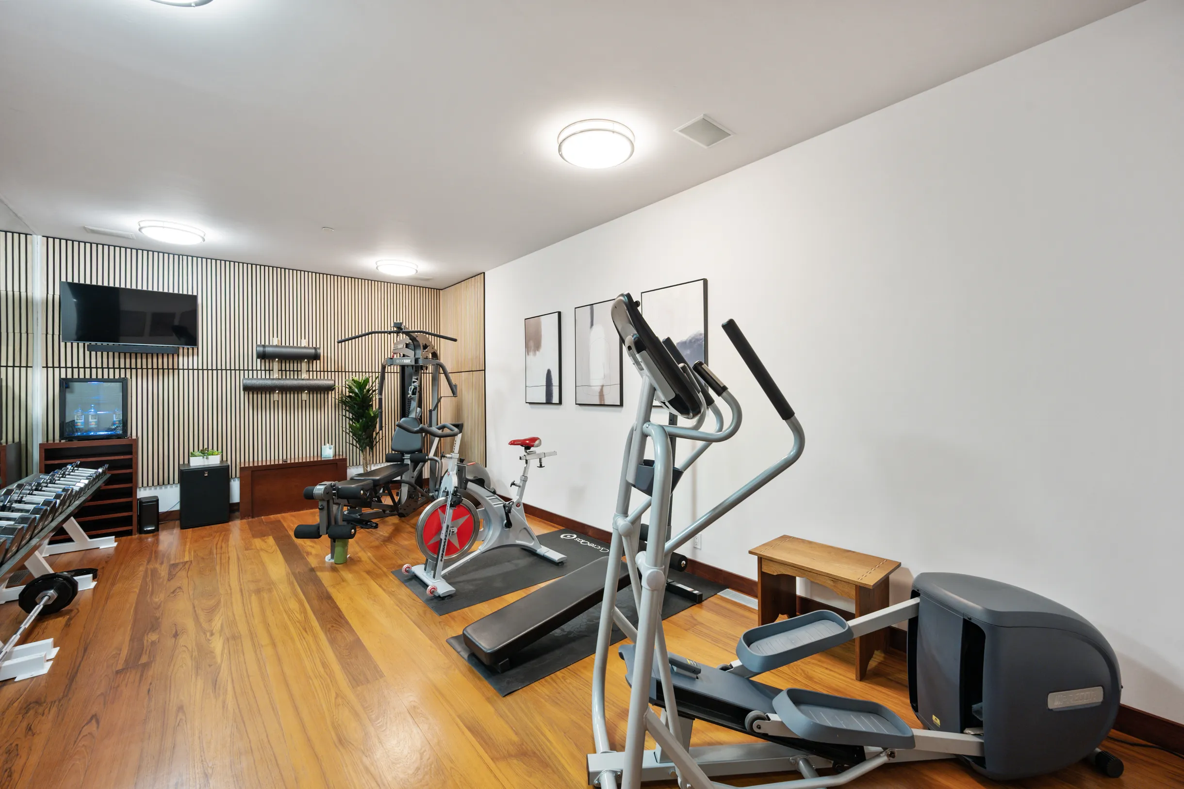 Wander Telluride Falls #10