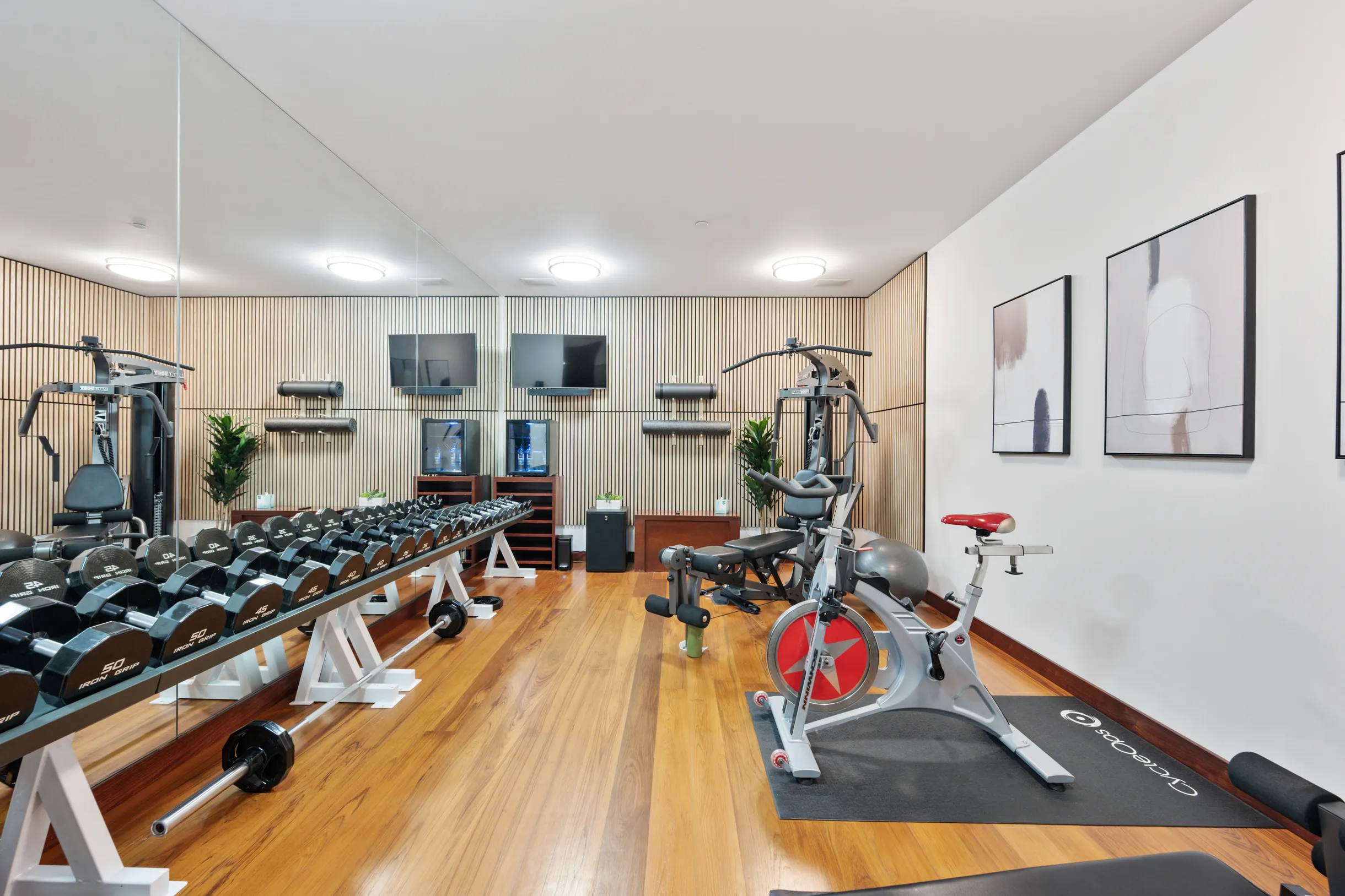 Wander Telluride Falls #29