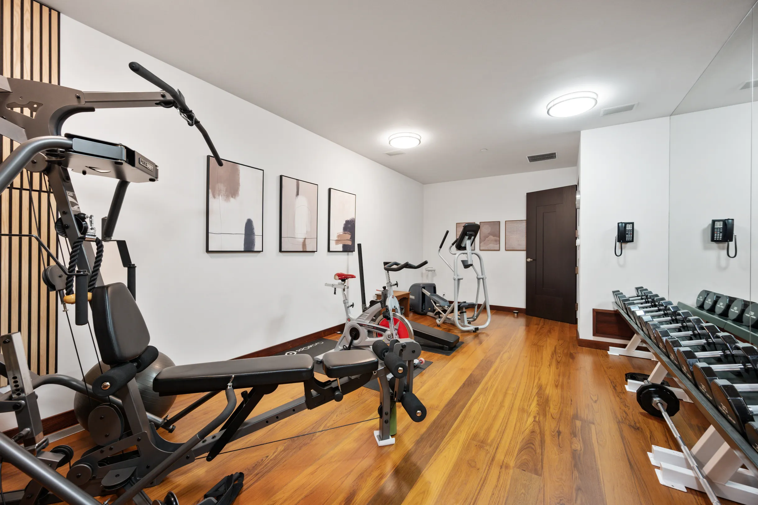 Wander Telluride Falls #49