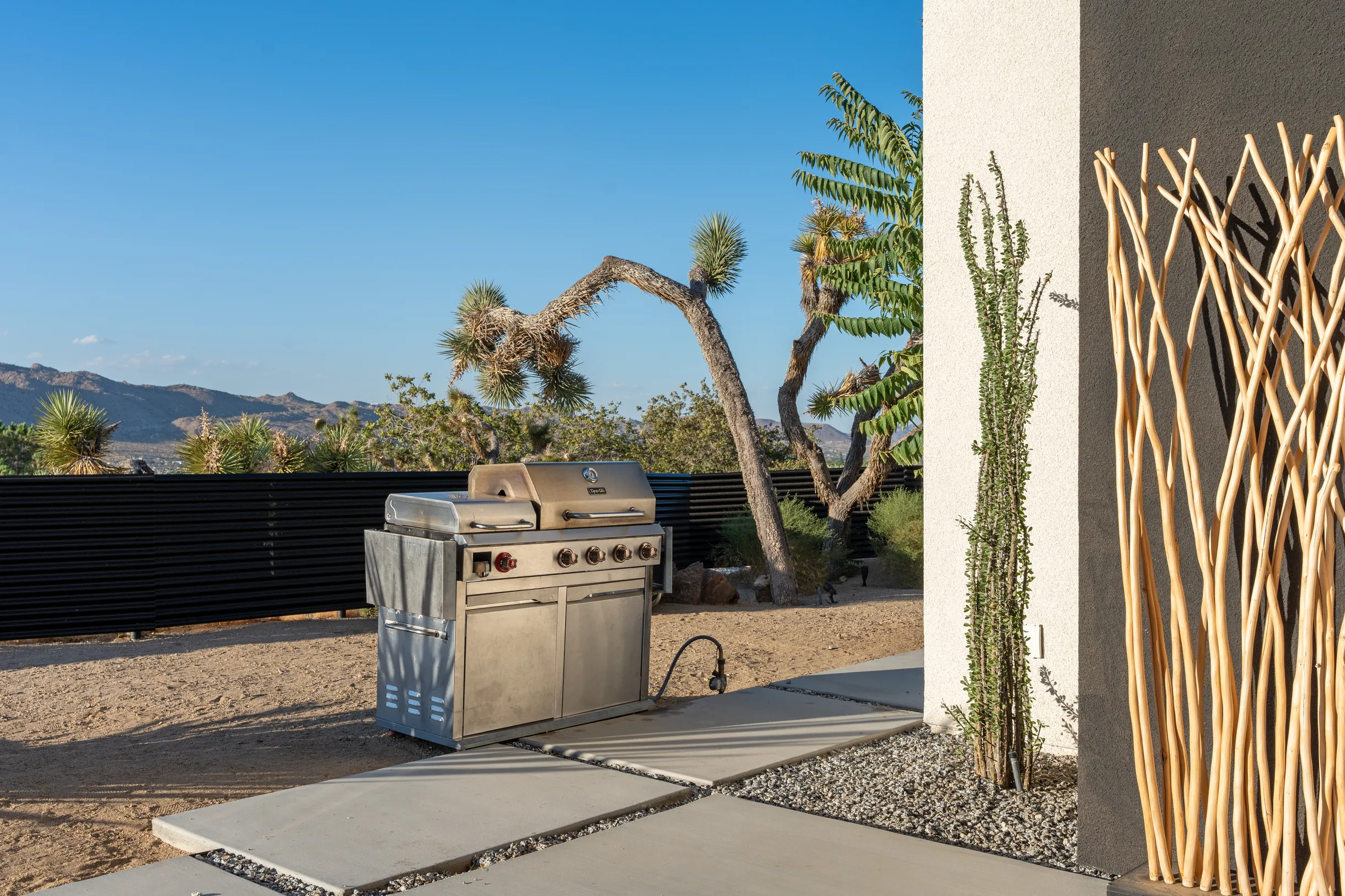 Wander Joshua Tree #64