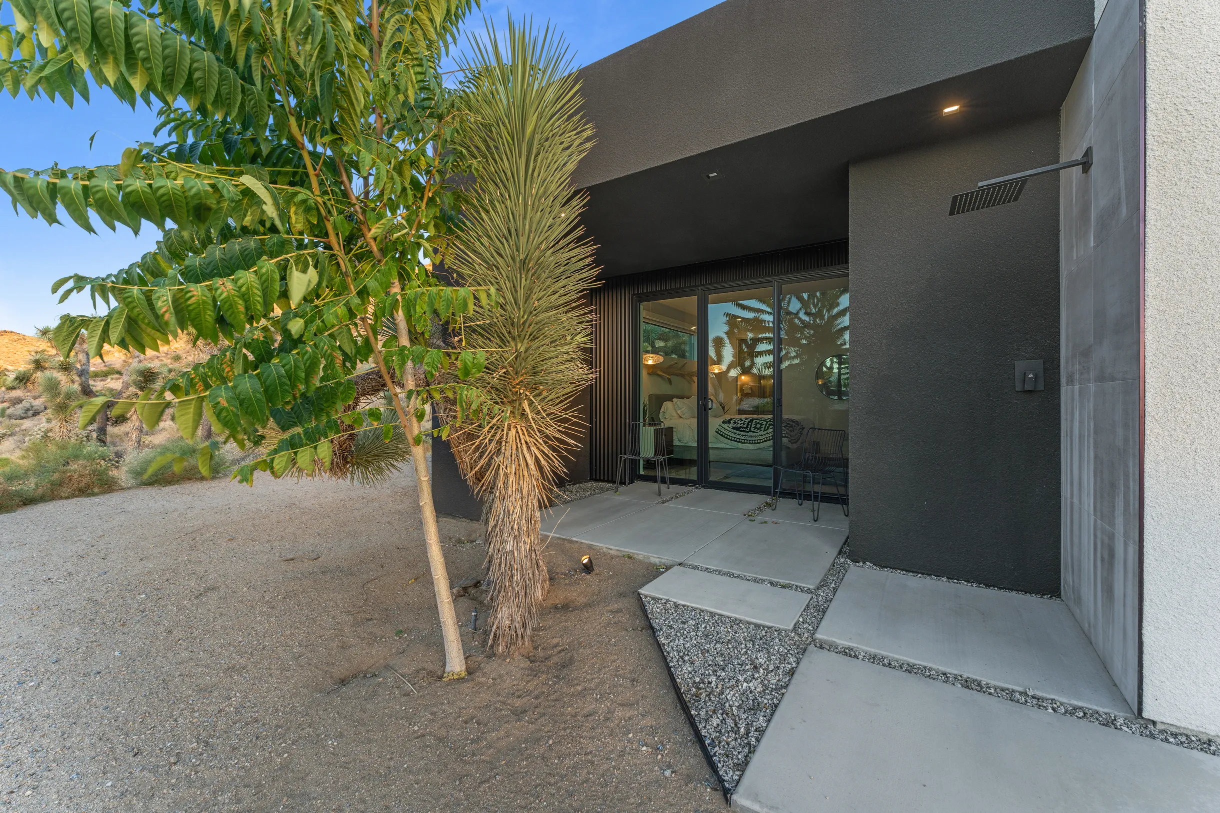 Wander Joshua Tree #36