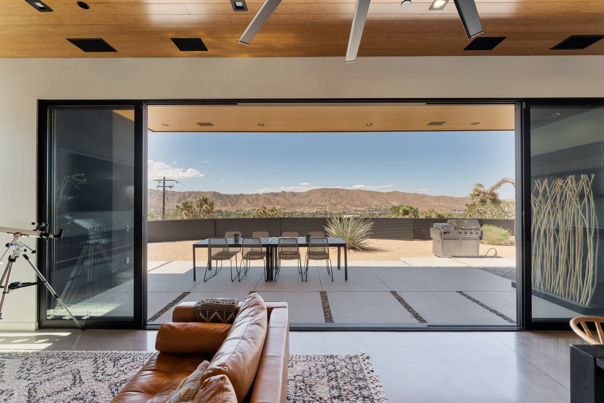 Wander Joshua Tree #45