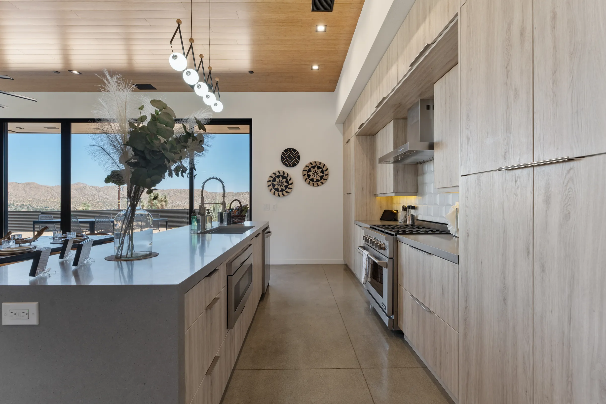 Wander Joshua Tree #27