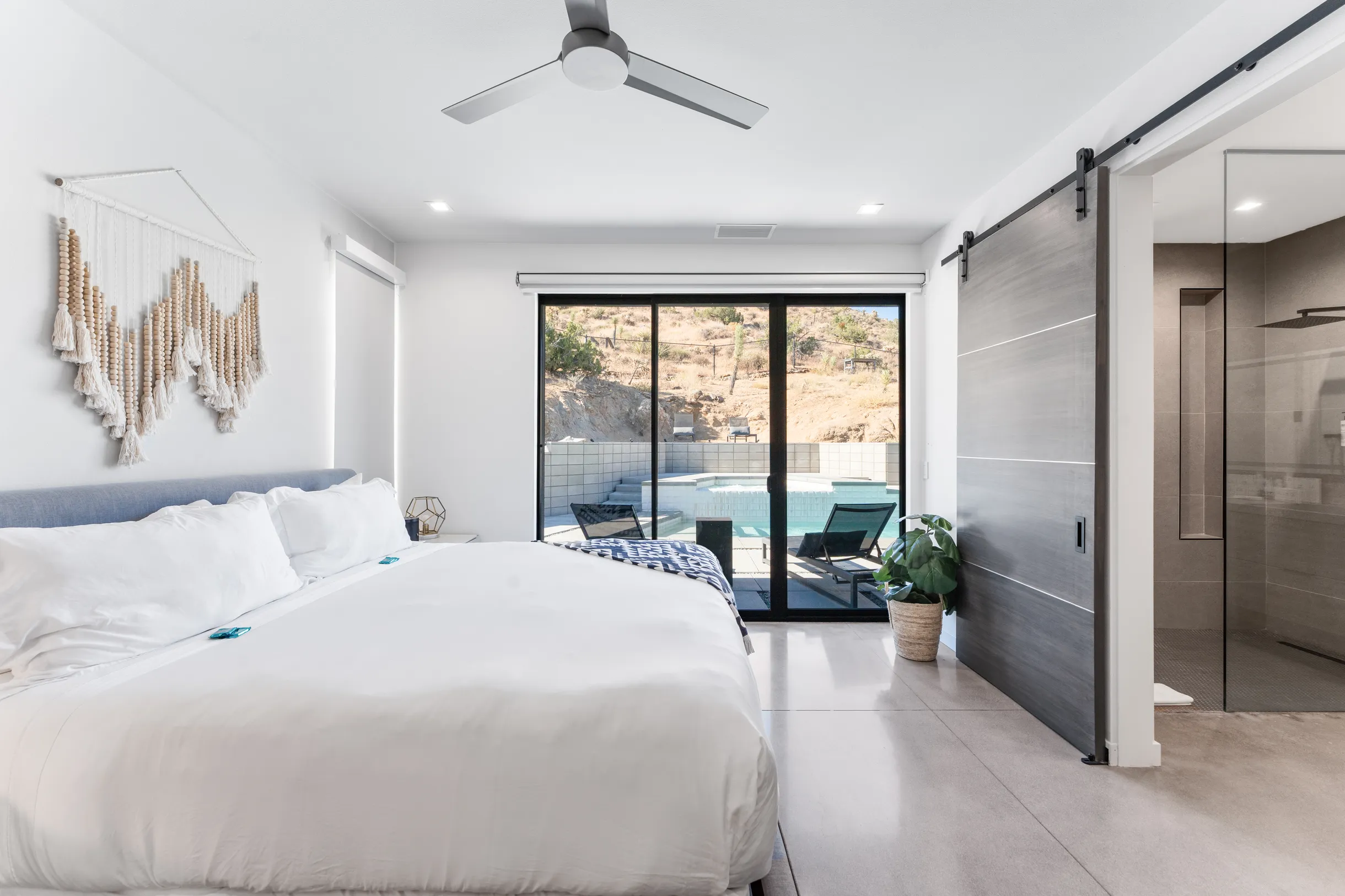 Wander Joshua Tree #29