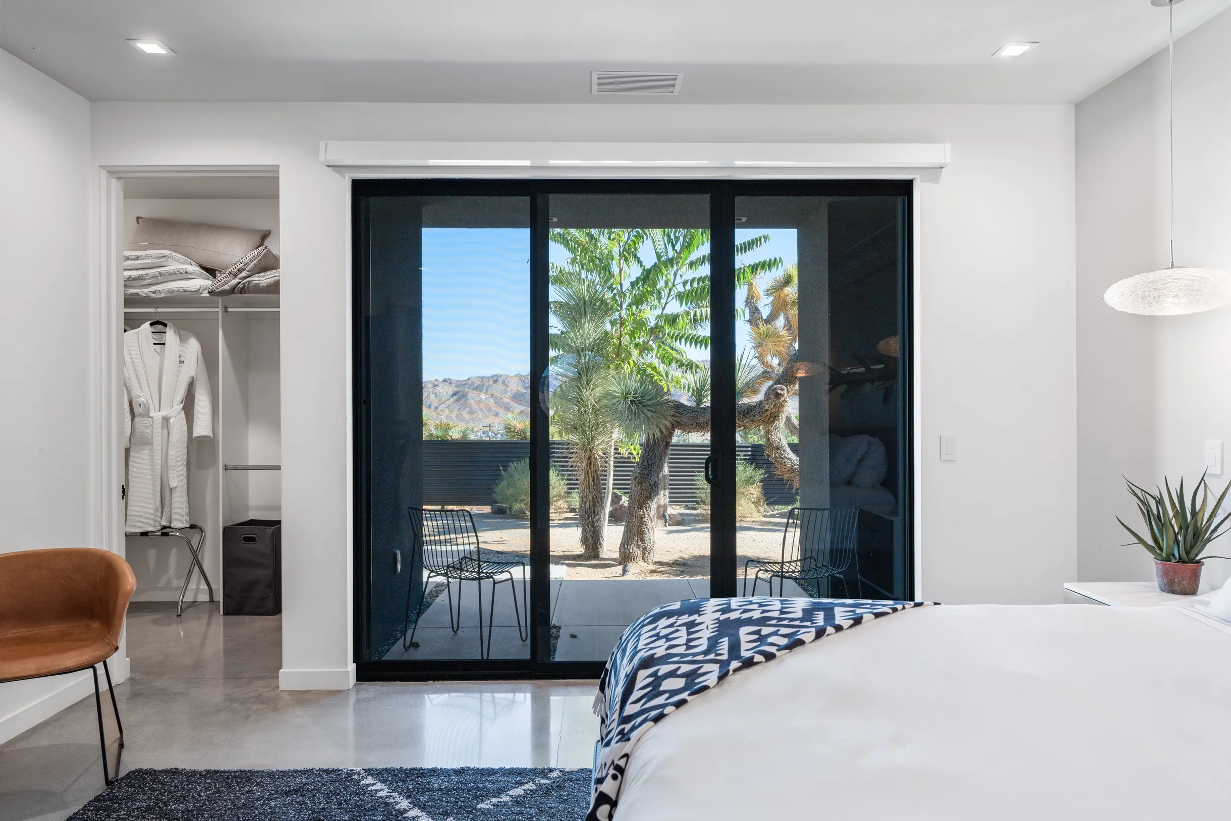 Wander Joshua Tree #40