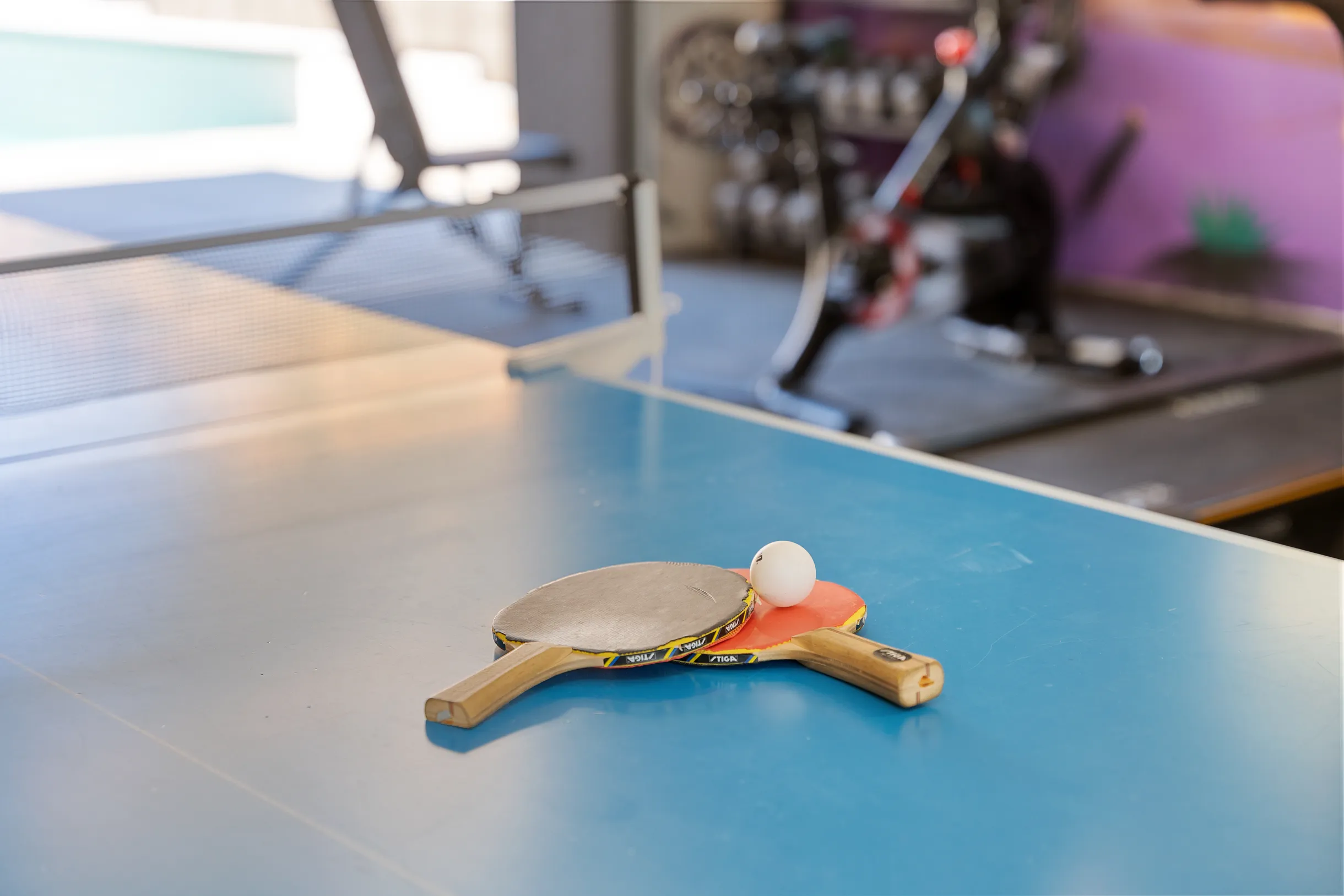 Wander Joshua Tree #56