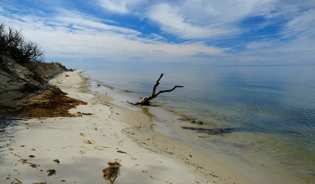 Savage Neck Dunes Natural Area Preserve