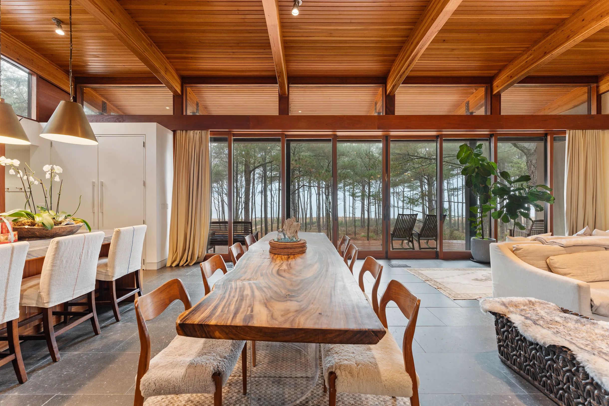 Wander Cape Charles #46