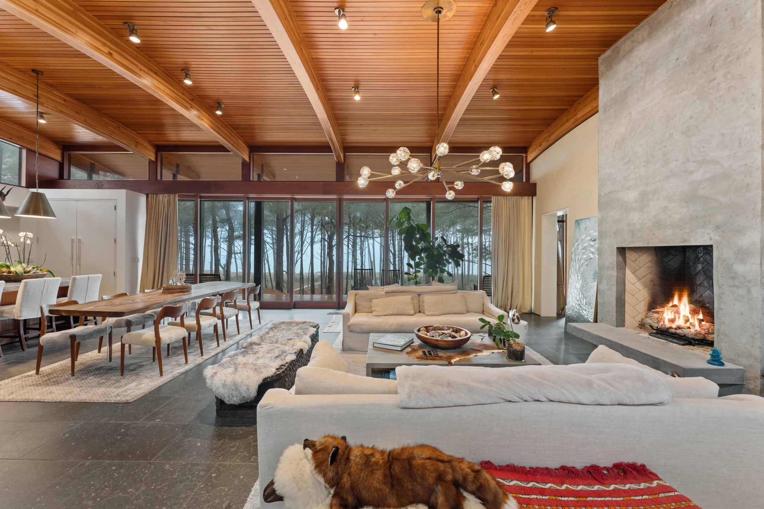 Wander Cape Charles #51