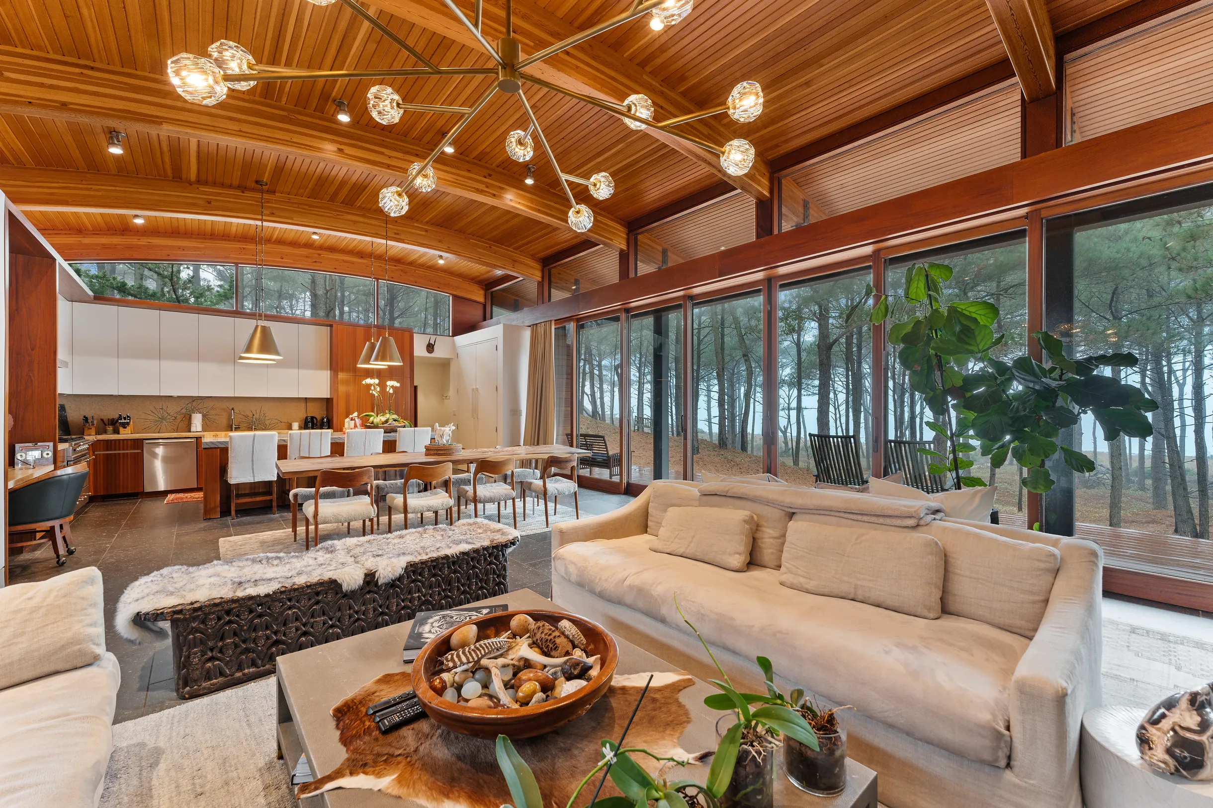 Wander Cape Charles #53