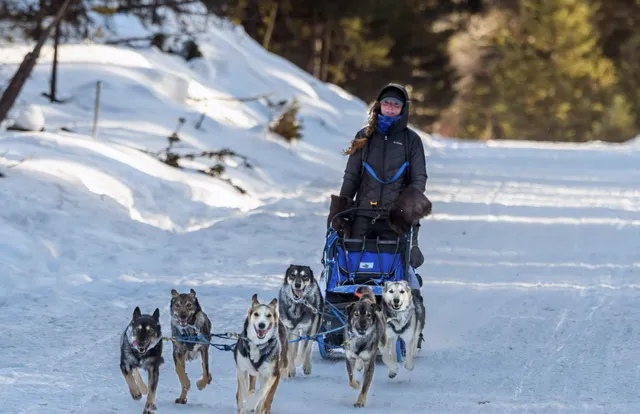 Dogsledding at Deep Creek Outdoor