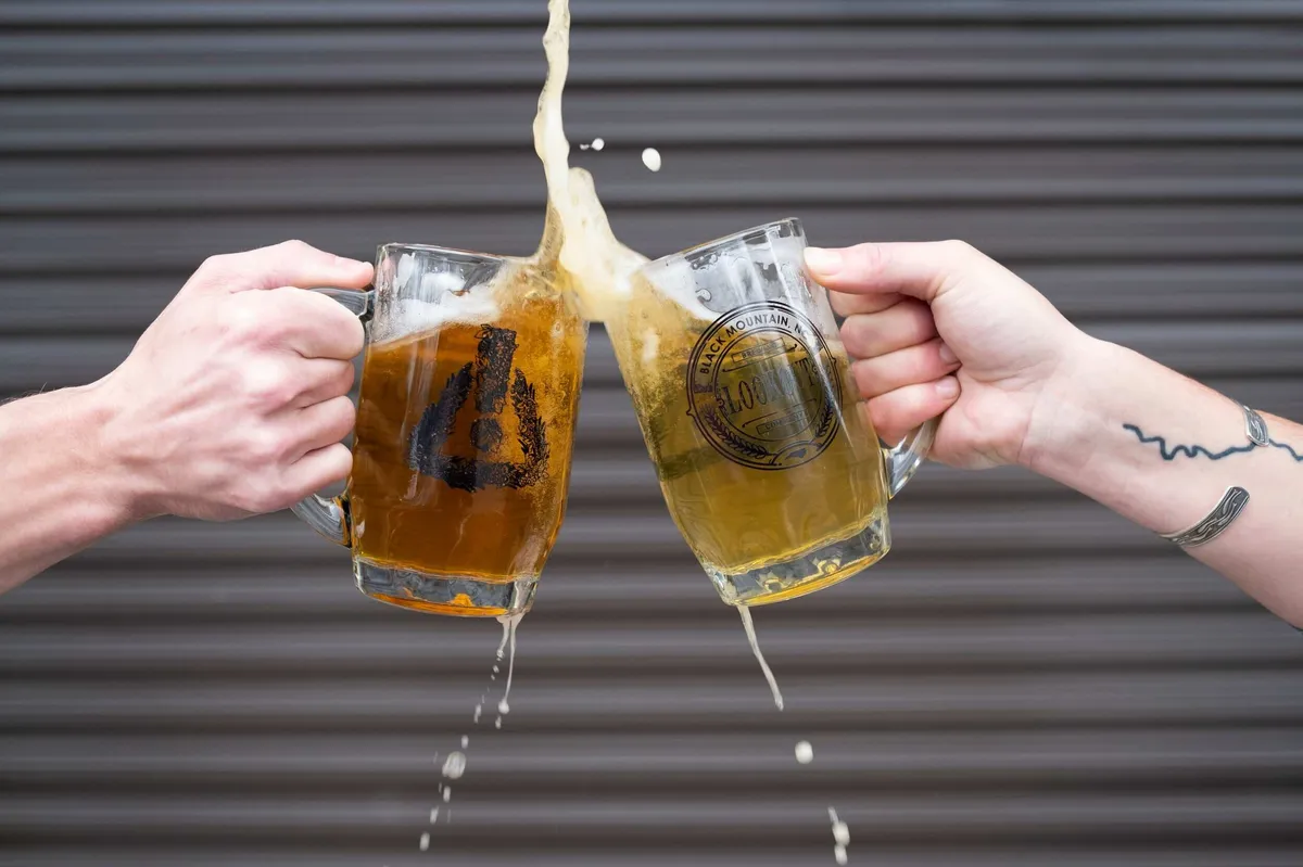 Best Breweries Near Wander Black Mountain