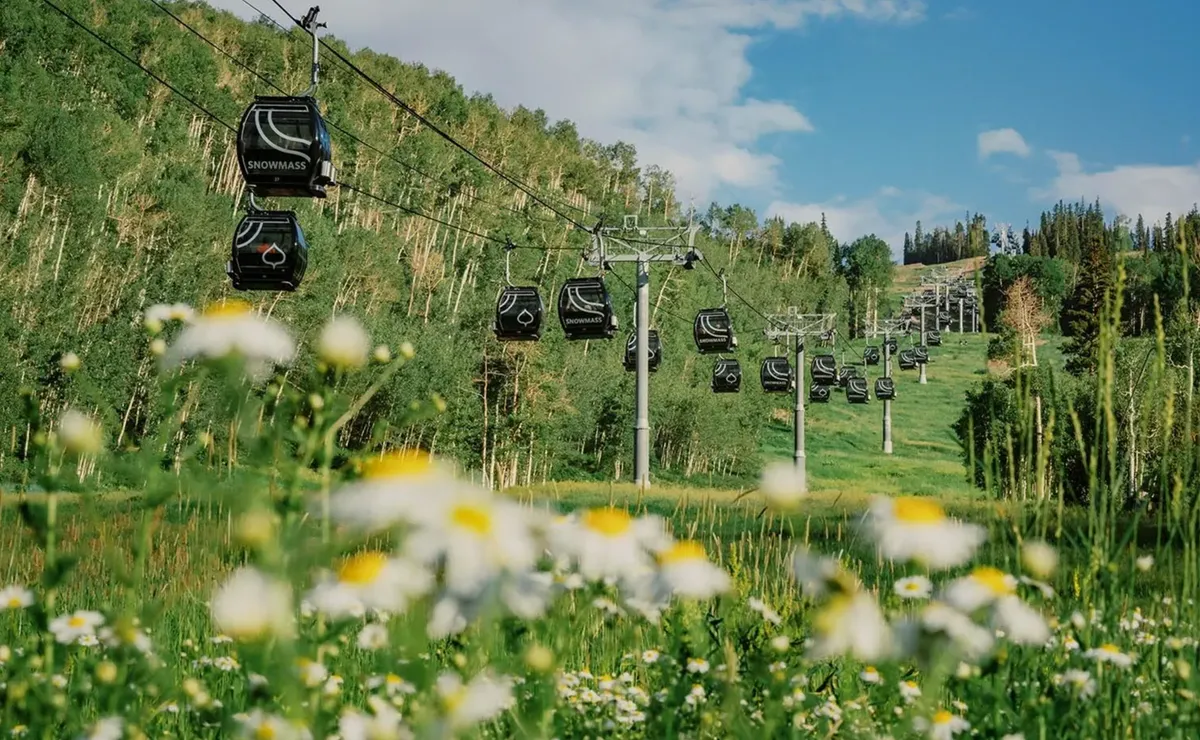 Best Activities to do in Aspen, CO