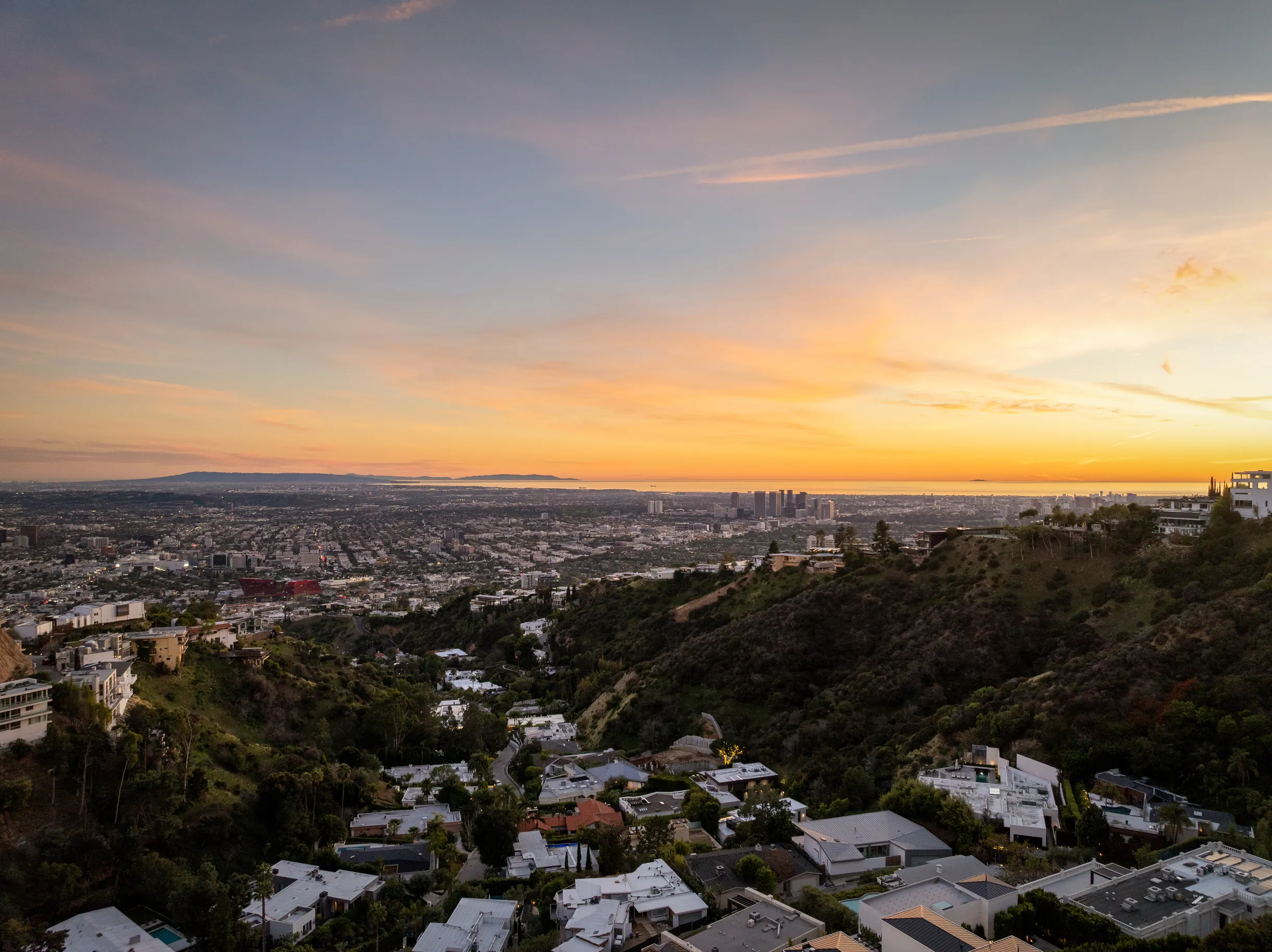 Wander Hollywood Hills #60
