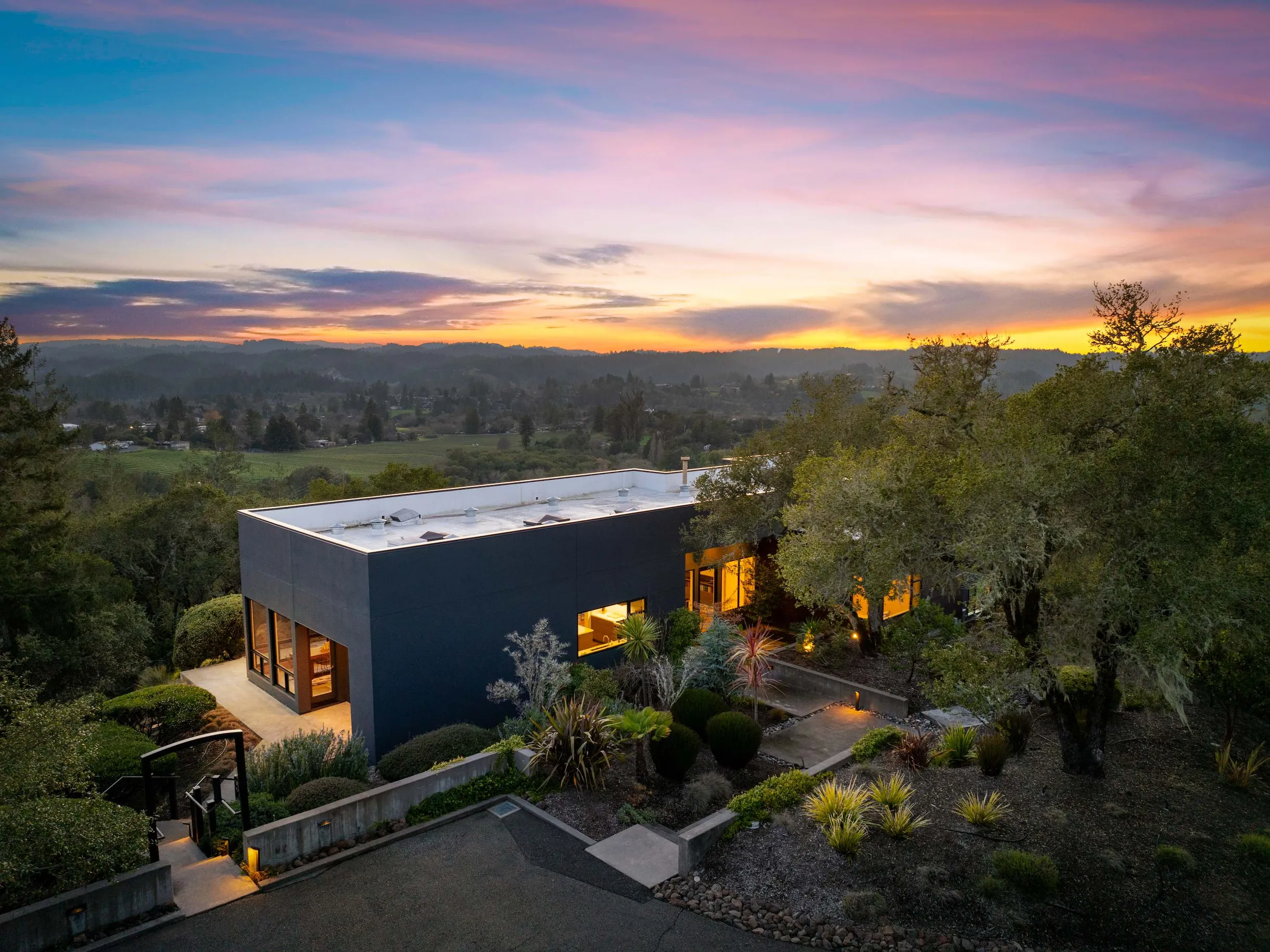 Wander Sonoma Vineyards #2