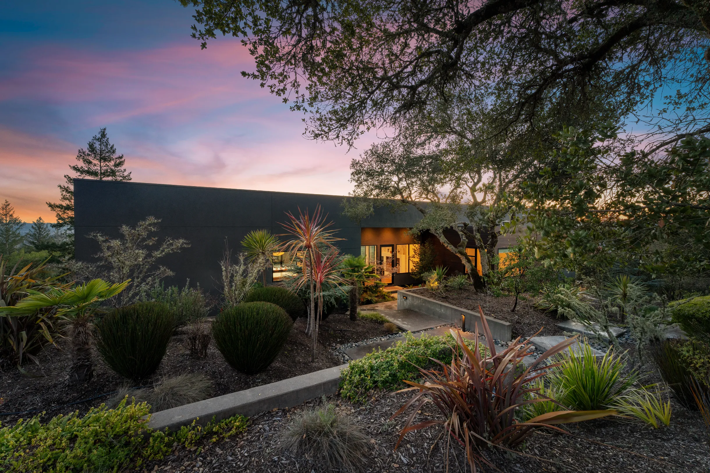 Wander Sonoma Vineyards #61