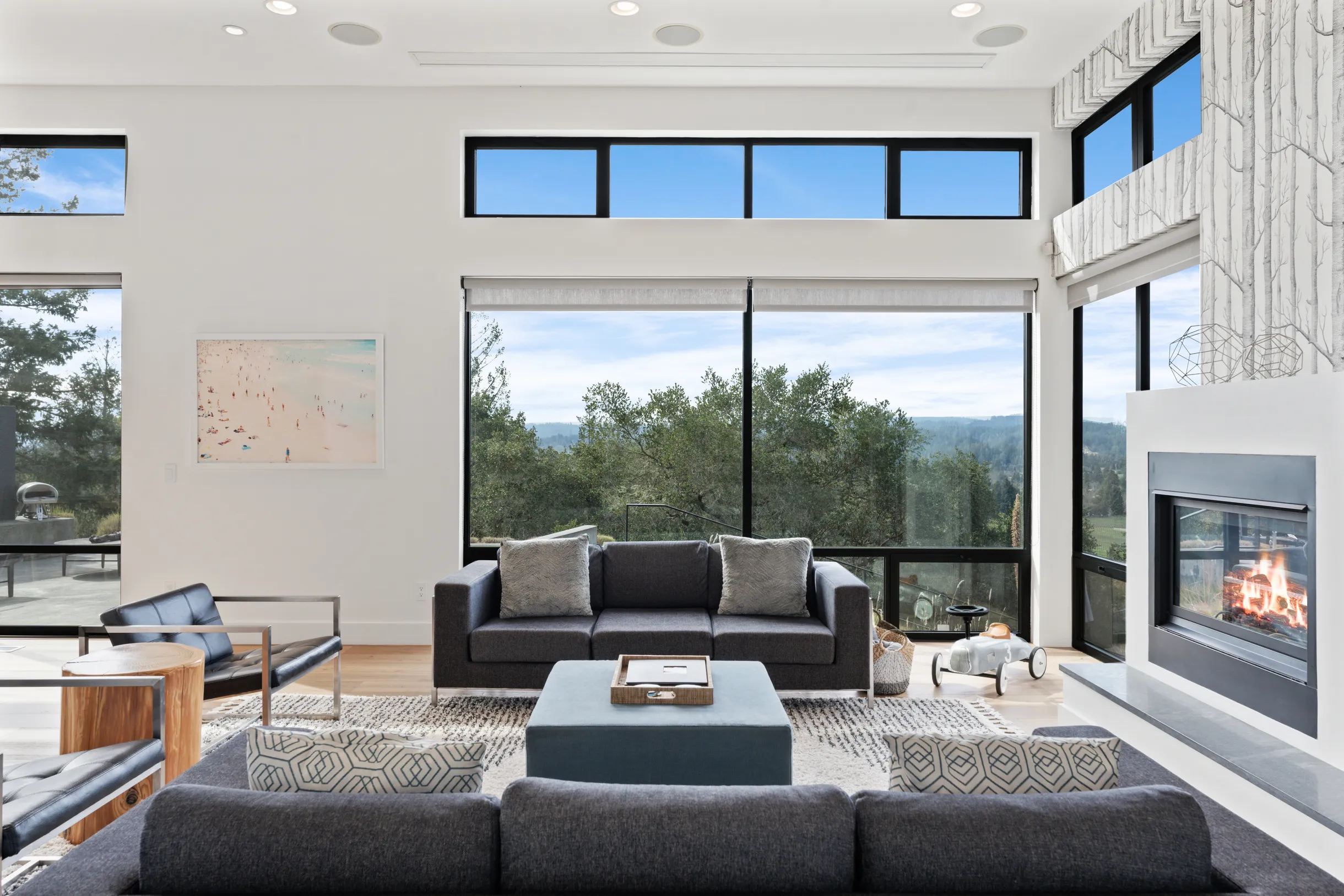 Wander Sonoma Vineyards #6