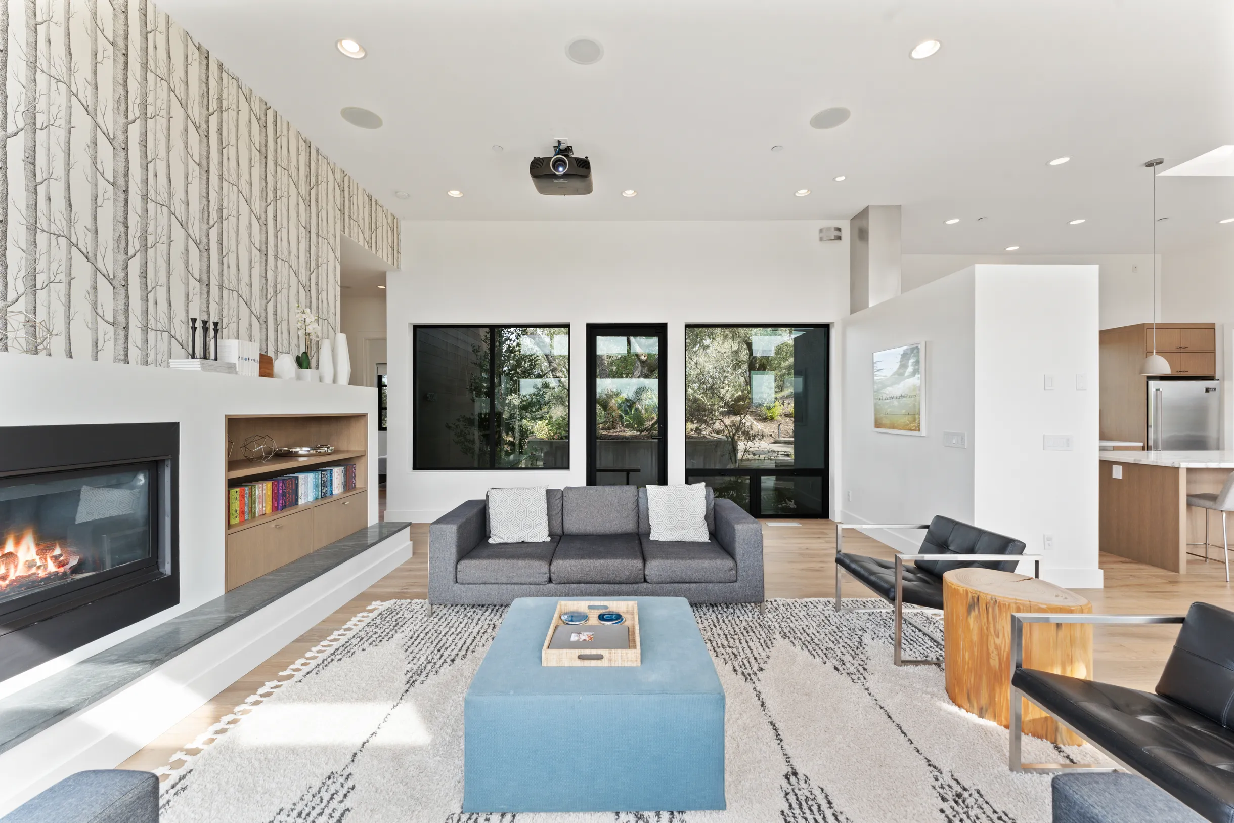 Wander Sonoma Vineyards #68